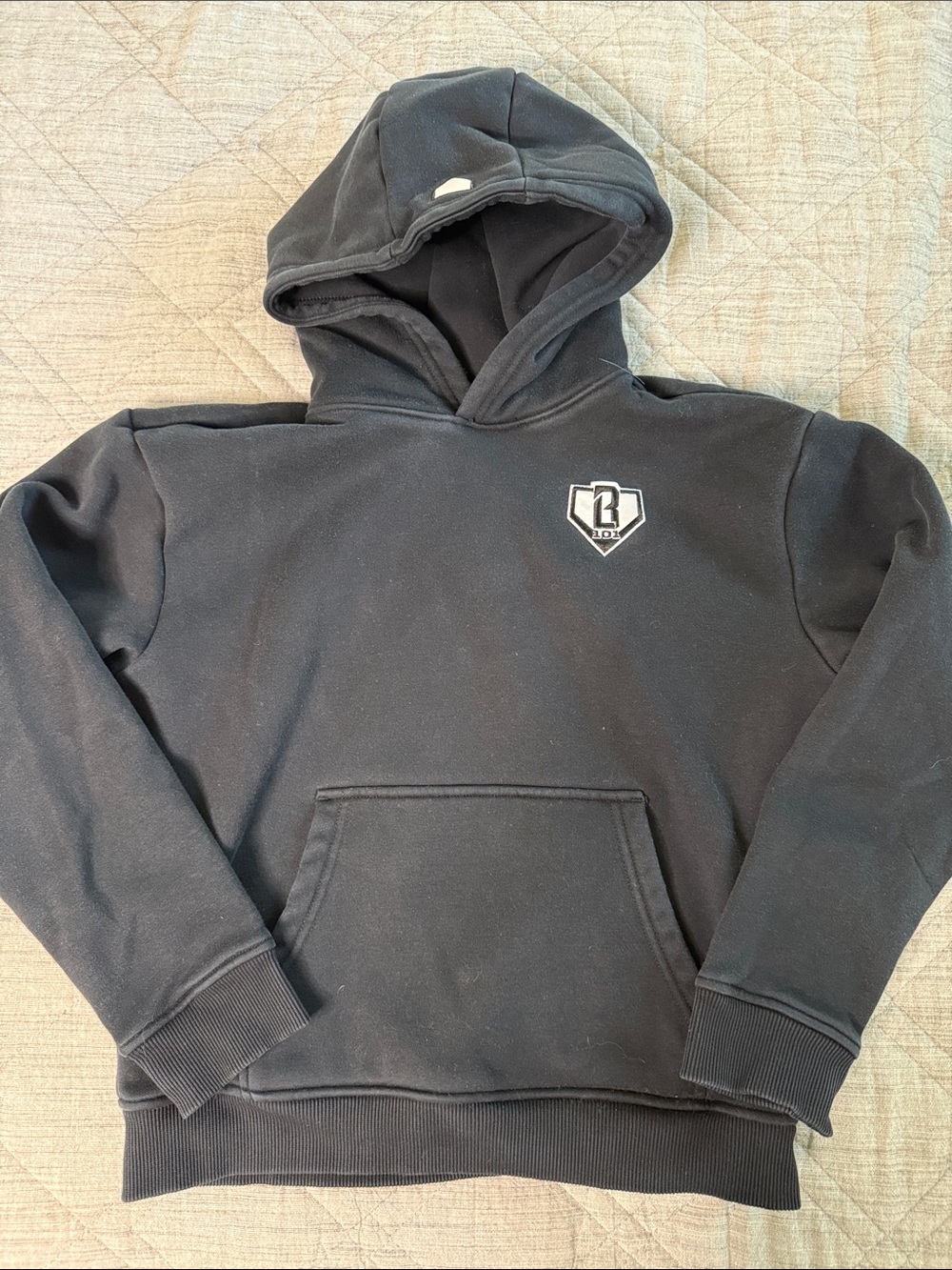 Black Hooded Sweatshirt with Crest Logo -Baseball 101